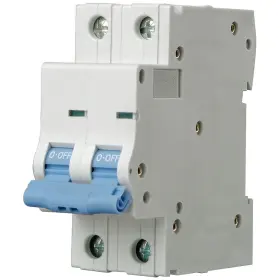5zux1 Dayton Iec Supp Protector 2a 480vac 2p