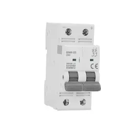 Gm9-dc125 Good Bntai Dc Miniature Circuit Breaker 2pole 500vdc 100a 125a 6ka Thermal Magnetic Trip