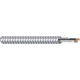 Southwire 55527501 Armored Cbl 2 With Grd 10awg Mc Ap 250ft 2vgf9