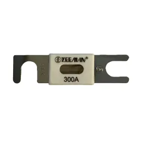 Cip142300000 Victron Energy Anl-fuse 300a/80v F/48v Products Package Of 1 Upc