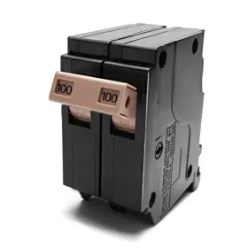 Sku000100 Wantu 2100 2-pole 100-amp Circuit Breaker Type 3/4-in Plug-on Molded Case 100a