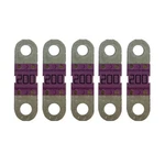 Victron Energy CIP132200010 Midi-fuse 200A/32V Package Of 5. Fixed Price $19.28.