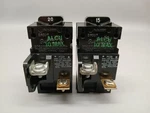 Lot Of Amp & Pushmatic P115 P120 Single Pole Breakers Ite. Fixed Price $19.95.