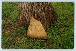 C1960 Knob Creek Kentucky Postcard Gravestone Thomas Lincoln Jr. Abraham Brother. Fixed Price $9.98.