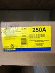 Schneider Square J250S Circuit Breaker NEMA-1 Enclosure Amp Max. Fixed Price $280.00.