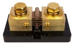 Midnite Solar MNSHUNT-1000/100 Deltec 1000A 100MV. Fixed Price $101.99.