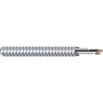 Southwire 55527501 Armored CBL,2 W/GRD,10AWG,MC AP,250FT 2VGF9. Fixed Price $457.27.