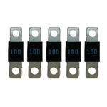 Victron Midi-fuse 100A/32V (package Of 5) CIP132100010. Fixed Price $10.47.