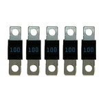 Victron Midi-fuse 100A/32V (package Of 5) CIP132100010 Upc 8719076036500. Fixed Price $18.99.