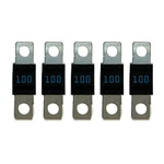 Victron Energy CIP132100010 Midi-fuse 100A/32V Pack Of 5. Fixed Price $16.33.