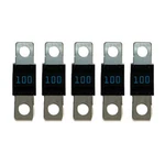 Victron Midi-fuse 100A/32V (package Of 5) CIP132100010. Fixed Price $16.35.